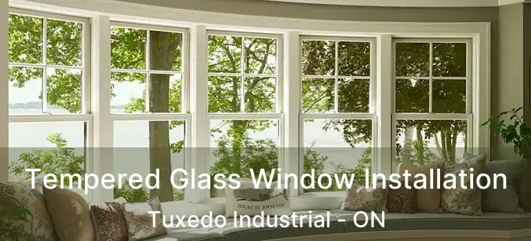  Tempered Glass Window Installation Tuxedo Industrial - ON