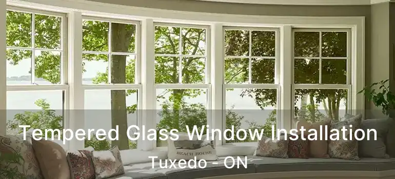  Tempered Glass Window Installation Tuxedo - ON