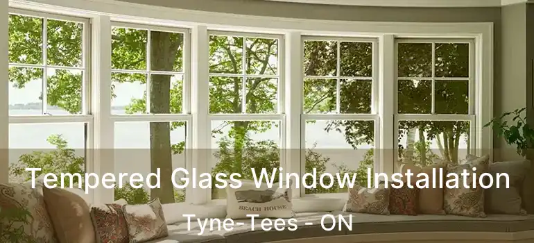  Tempered Glass Window Installation Tyne-Tees - ON