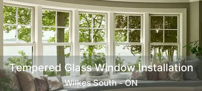  Tempered Glass Window Installation Wilkes South - ON