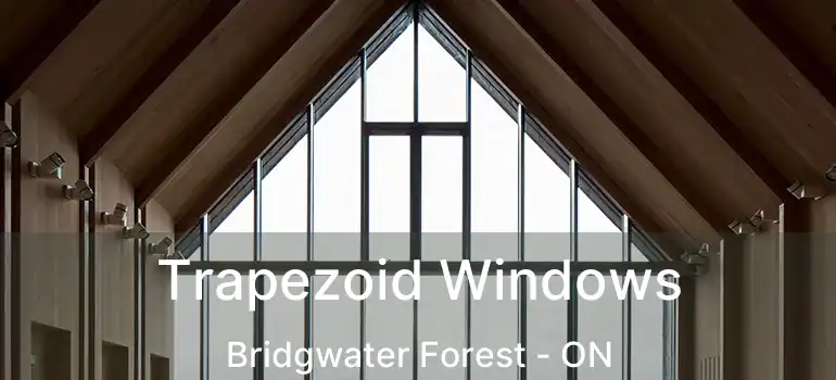  Trapezoid Windows Bridgwater Forest - ON