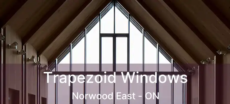  Trapezoid Windows Norwood East - ON