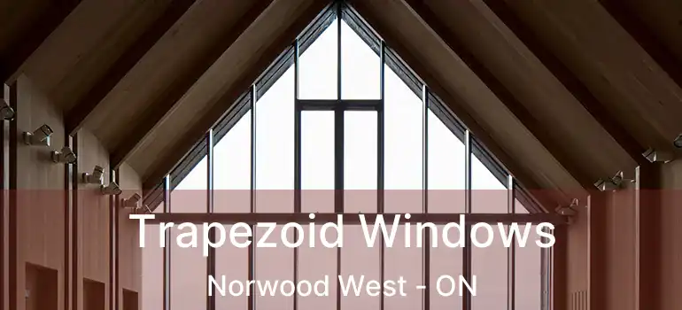  Trapezoid Windows Norwood West - ON