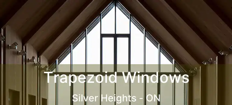  Trapezoid Windows Silver Heights - ON