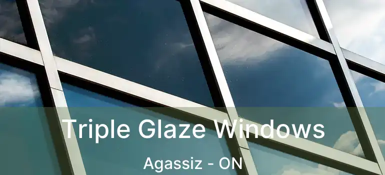  Triple Glaze Windows Agassiz - ON