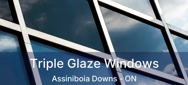  Triple Glaze Windows Assiniboia Downs - ON