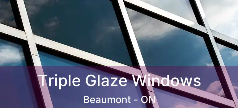  Triple Glaze Windows Beaumont - ON