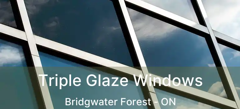  Triple Glaze Windows Bridgwater Forest - ON
