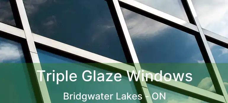  Triple Glaze Windows Bridgwater Lakes - ON