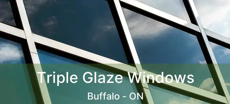  Triple Glaze Windows Buffalo - ON