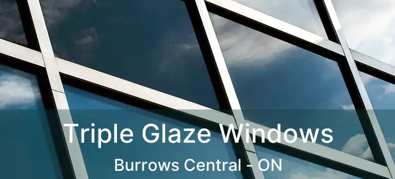  Triple Glaze Windows Burrows Central - ON