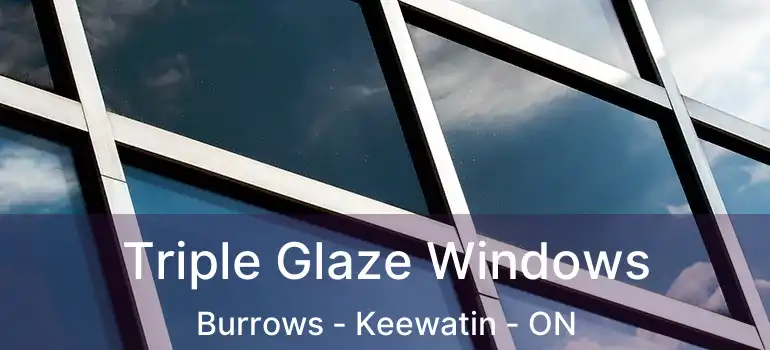  Triple Glaze Windows Burrows - Keewatin - ON