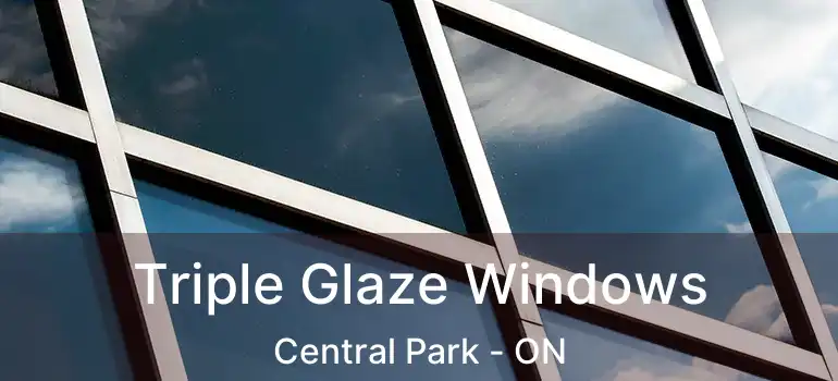  Triple Glaze Windows Central Park - ON