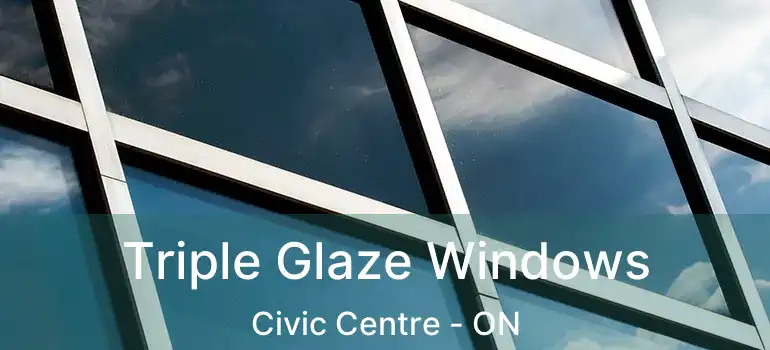  Triple Glaze Windows Civic Centre - ON