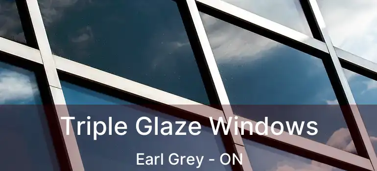  Triple Glaze Windows Earl Grey - ON