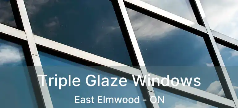  Triple Glaze Windows East Elmwood - ON