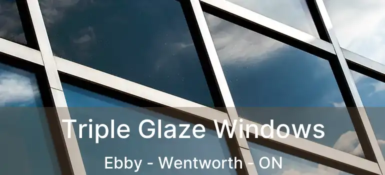  Triple Glaze Windows Ebby - Wentworth - ON
