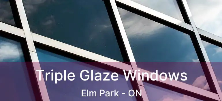  Triple Glaze Windows Elm Park - ON