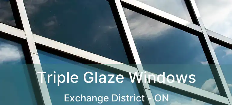  Triple Glaze Windows Exchange District - ON