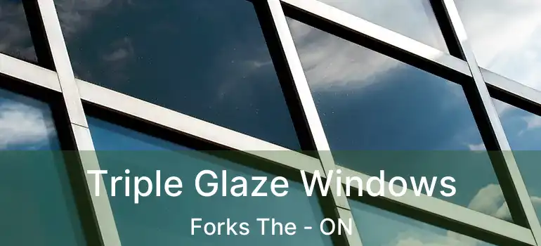  Triple Glaze Windows Forks The - ON
