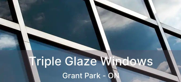  Triple Glaze Windows Grant Park - ON