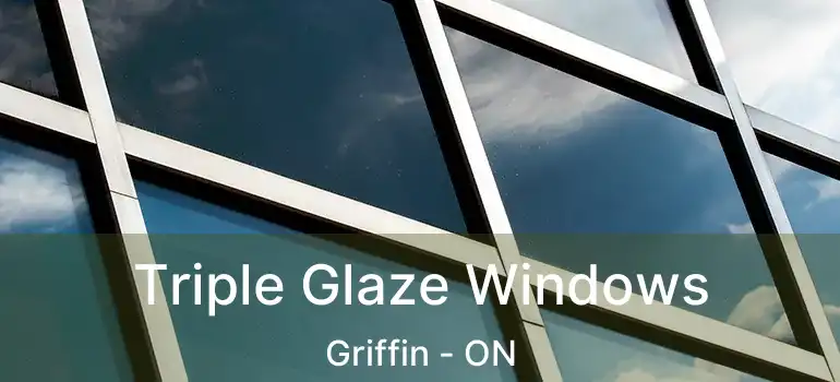  Triple Glaze Windows Griffin - ON
