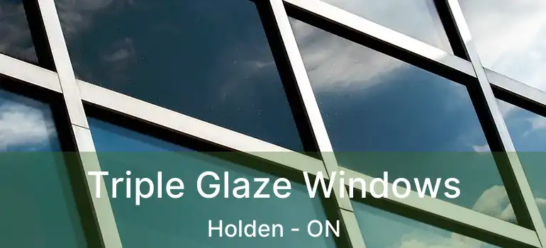  Triple Glaze Windows Holden - ON