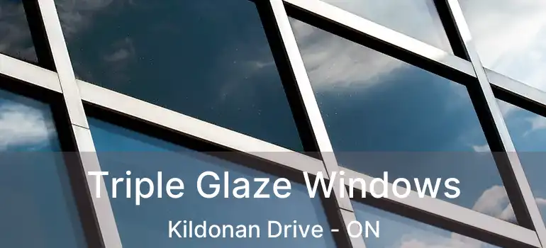  Triple Glaze Windows Kildonan Drive - ON