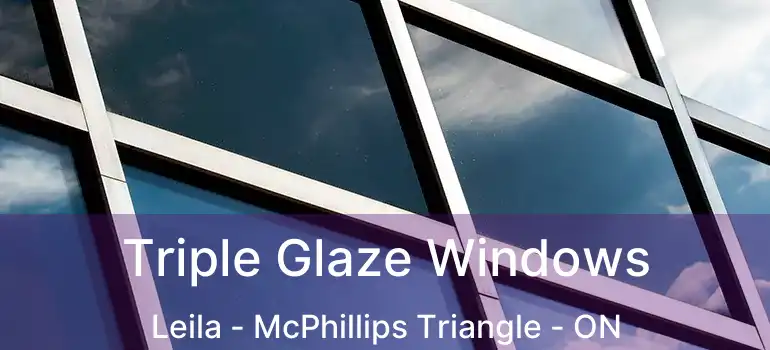  Triple Glaze Windows Leila - McPhillips Triangle - ON