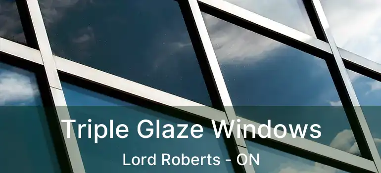  Triple Glaze Windows Lord Roberts - ON