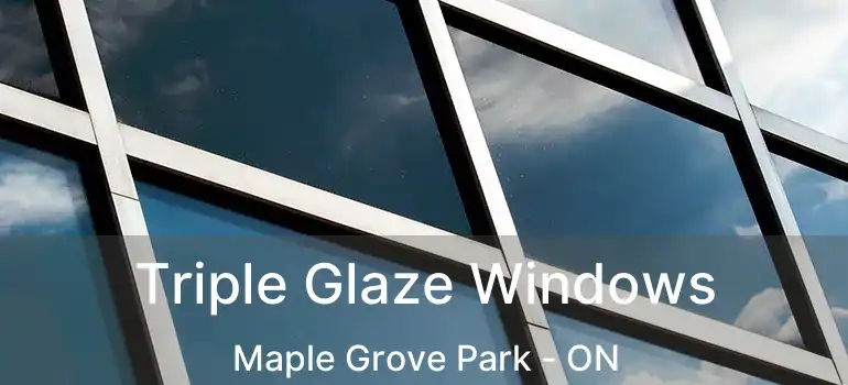  Triple Glaze Windows Maple Grove Park - ON