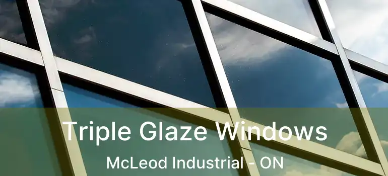  Triple Glaze Windows McLeod Industrial - ON
