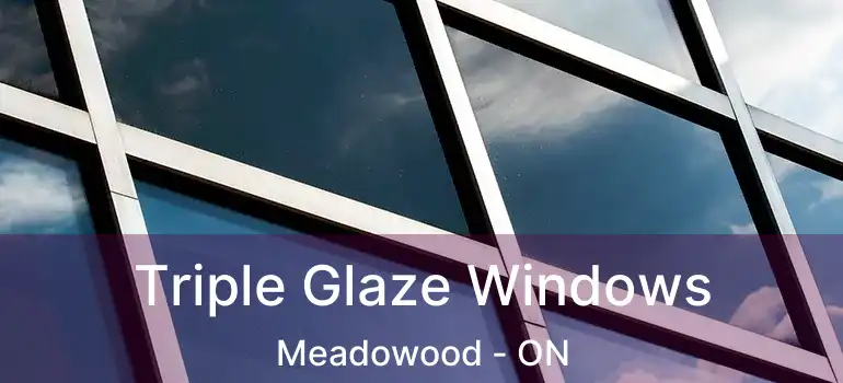  Triple Glaze Windows Meadowood - ON