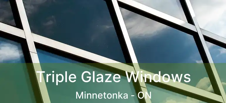  Triple Glaze Windows Minnetonka - ON
