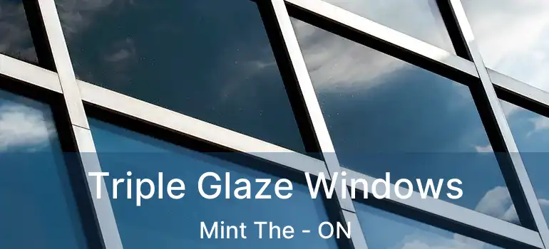  Triple Glaze Windows Mint The - ON