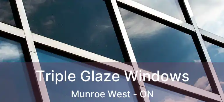  Triple Glaze Windows Munroe West - ON