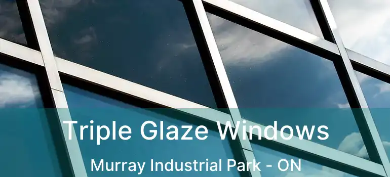  Triple Glaze Windows Murray Industrial Park - ON