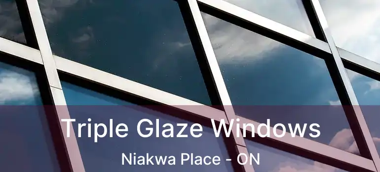  Triple Glaze Windows Niakwa Place - ON