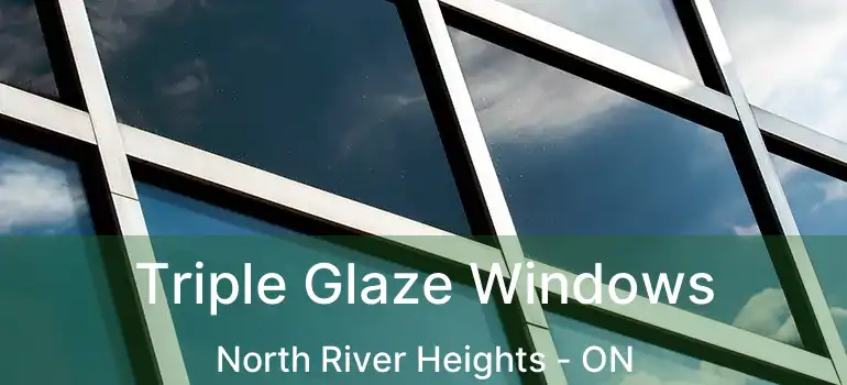  Triple Glaze Windows North River Heights - ON