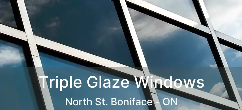  Triple Glaze Windows North St. Boniface - ON
