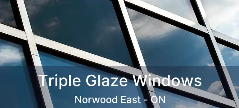  Triple Glaze Windows Norwood East - ON