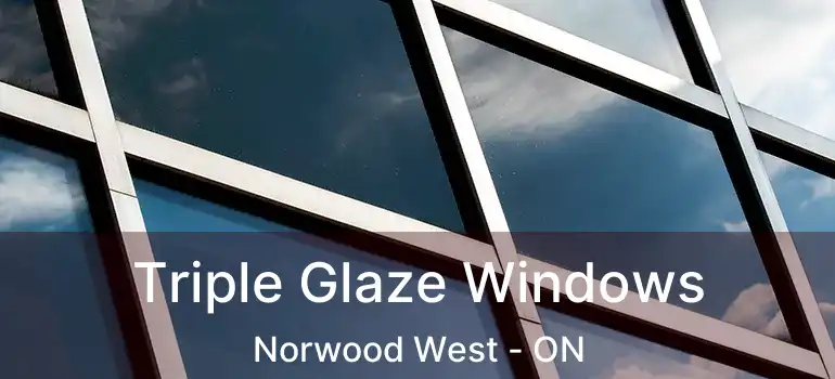  Triple Glaze Windows Norwood West - ON