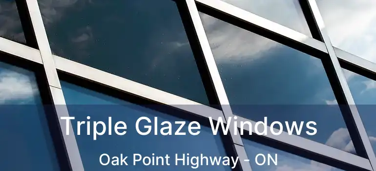  Triple Glaze Windows Oak Point Highway - ON