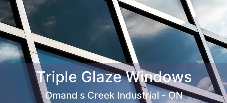  Triple Glaze Windows Omand s Creek Industrial - ON