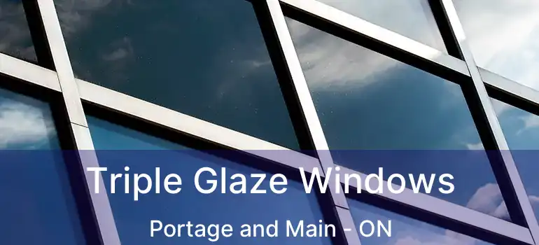  Triple Glaze Windows Portage and Main - ON