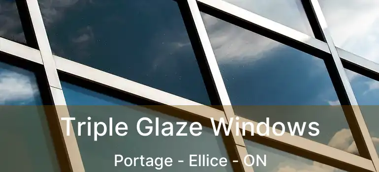  Triple Glaze Windows Portage - Ellice - ON