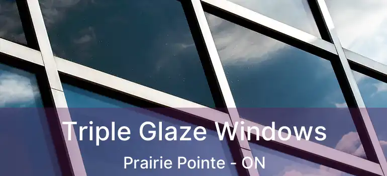  Triple Glaze Windows Prairie Pointe - ON