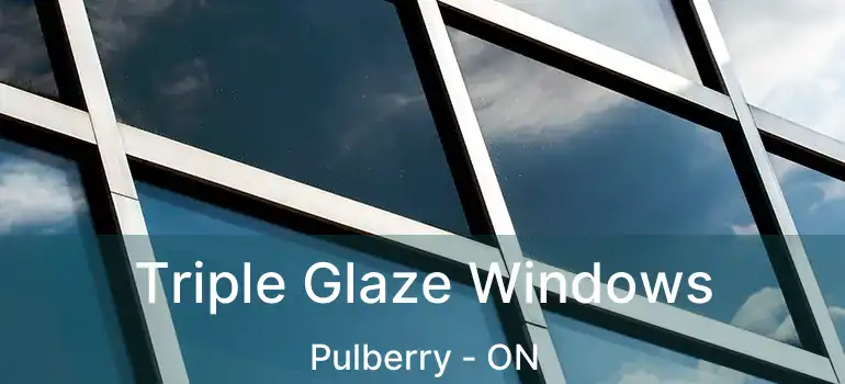  Triple Glaze Windows Pulberry - ON