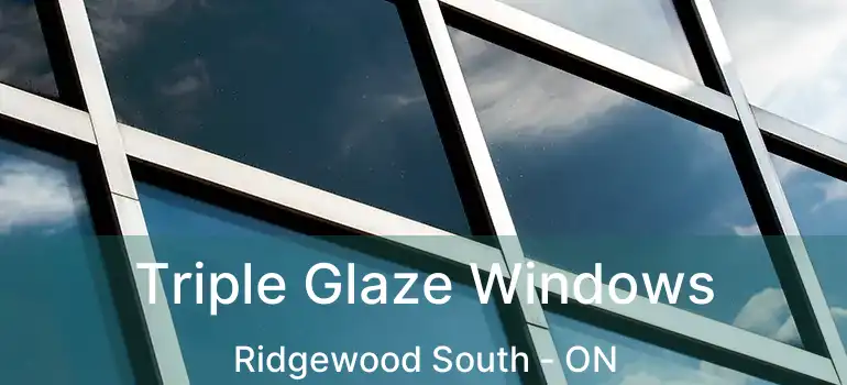  Triple Glaze Windows Ridgewood South - ON