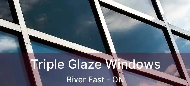  Triple Glaze Windows River East - ON